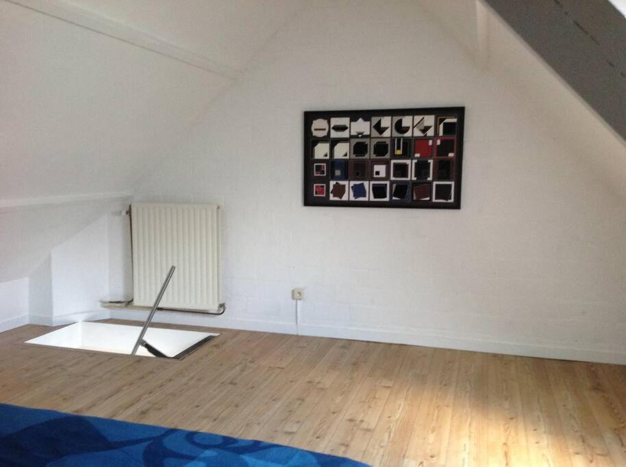 Fijne Studio Op Het Zuid